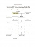 /album/arvore-genealogica1/genealogia-de-domingos-rodrigues-jpg3/